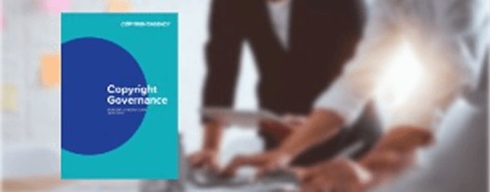 Copyright Risk & Compliance Guide